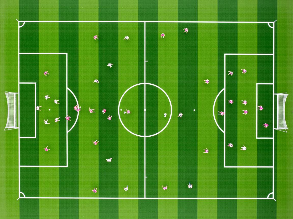 九游娱乐入口-中美澳蝶泳三方争锋 张雨霏稳中有升，蝶泳冠军张雨霏